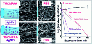 Novel antibacterial electrospun materials based on polyelectrolyte complexes