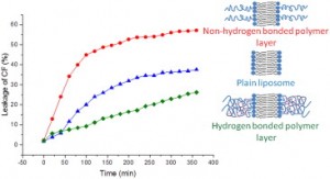 Novel polyglycidol-lipid conjugates create a stabilizing hydrogen