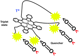 Reversible oxygen addition on a triplet sensitizer molecule