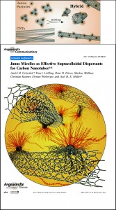 Janus Micelles as Effective  Supracolloidal Dispersants for Carbon Nanotubes